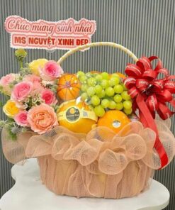 Giỏ Trái Cây - TC017 | Cát Tường