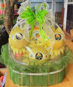 GIỎ TRÁI CÂY - TC002