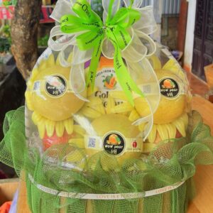 GIỎ TRÁI CÂY - TC002