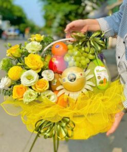 Giỏ Trái Cây - TC003