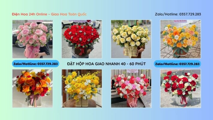  hoa sinh nhật thanh hóa