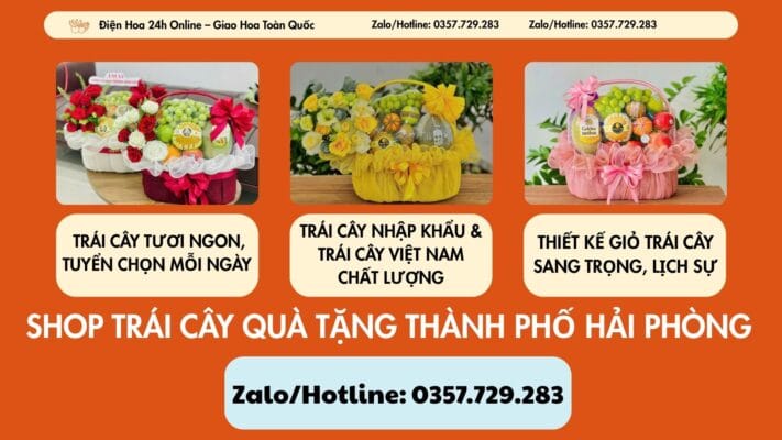Shop Trái Cây Quà Tặng Thành phố Hải Phòng