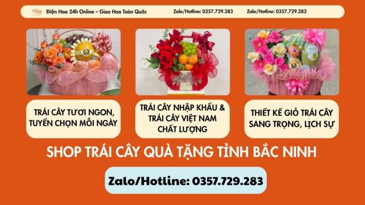 Shop Trái Cây Quà Tặng Tỉnh Bắc Ninh