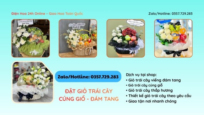 shop trái cây hải phòng cao cấp
