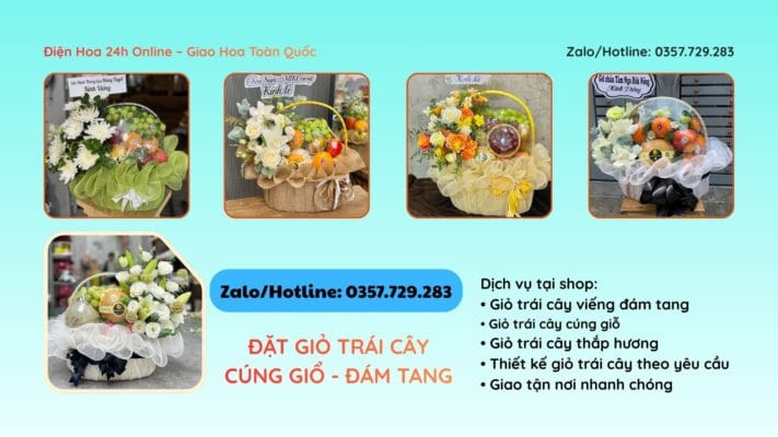  trái cây thăm bệnh hải phòng