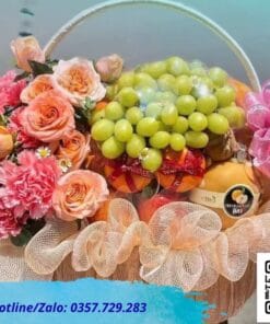 giỏ trái cây tc021 cao cấp