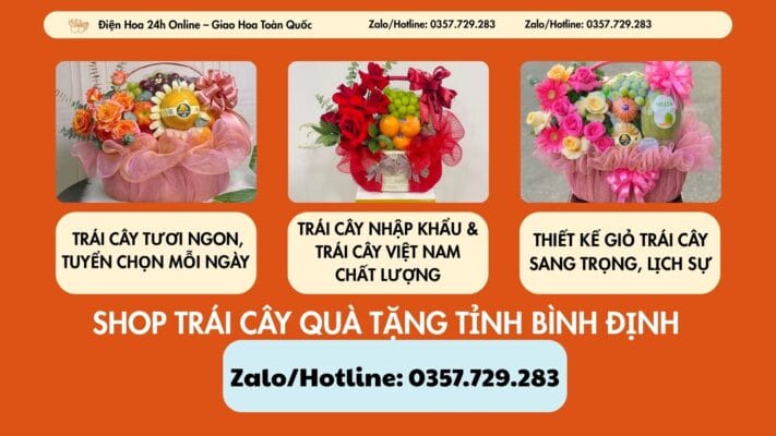Shop Trái Cây Quà Tặng Tỉnh Bình Định