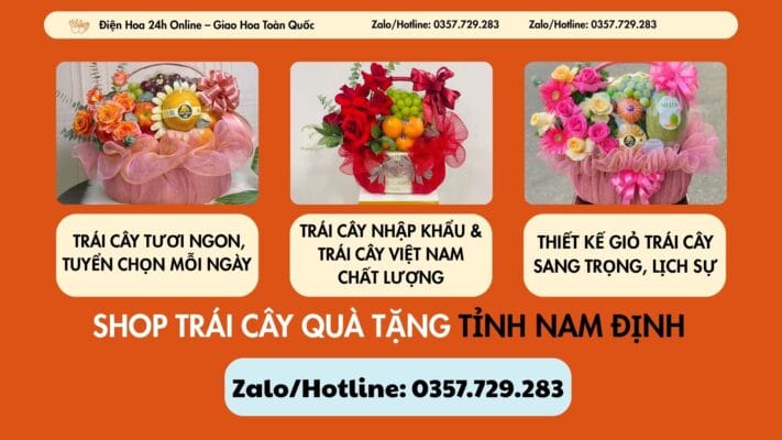 Shop Trái Cây Quà Tặng Tỉnh Nam Định