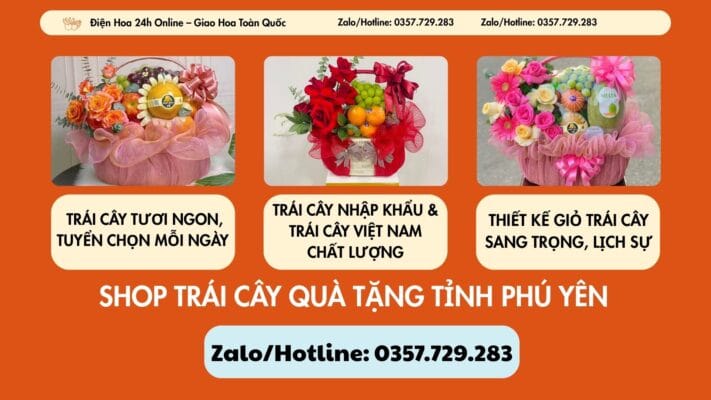 Shop Trái Cây Quà Tặng Tỉnh Phú Yên