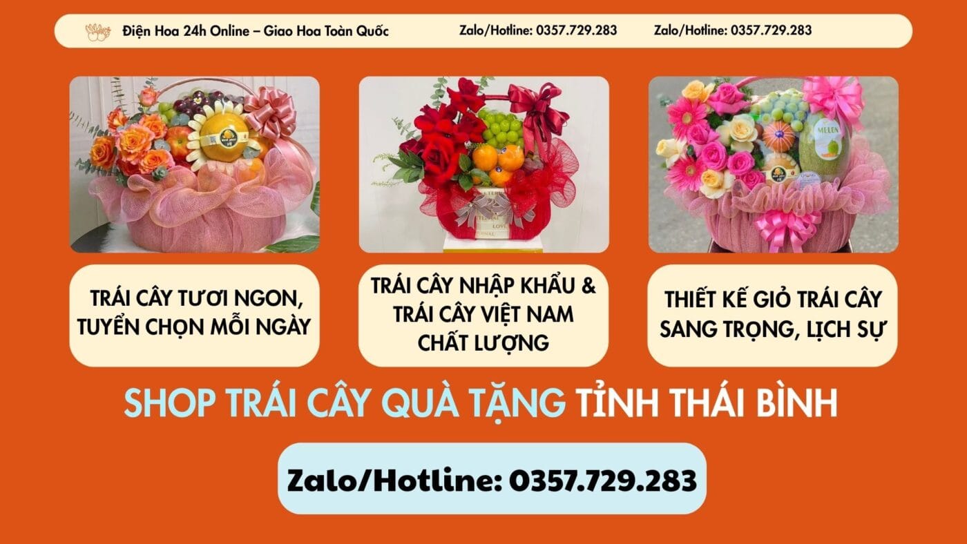 Shop Trái Cây Quà Tặng Tỉnh Thái Bình