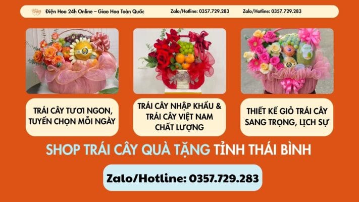 Shop Trái Cây Quà Tặng Tỉnh Thái Bình
