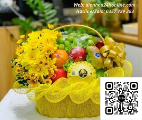 trái cây thăm bệnh hưng yên