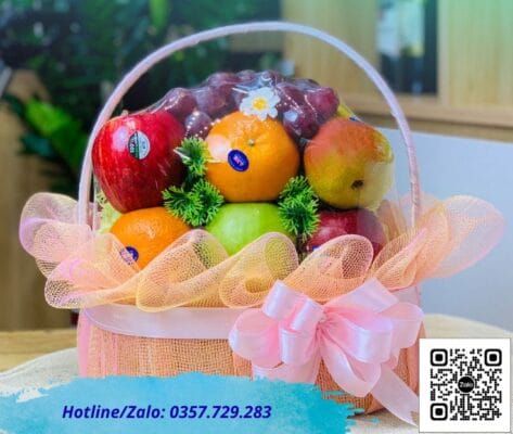 trái cây thăm bệnh nam định
