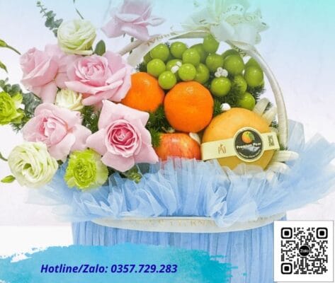 Cung cấp các loại giỏ trái cây quà tặng tại tỉnh Thái Bình với đa dạng chủng loại quả nhập khẩu như nho mẫu đơn, táo Mỹ, cam vàng, đáp ứng mọi nhu cầu quà tặng sự kiện.